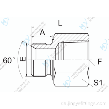 Metrische männliche 60 -Kegel -Sitz/Npt weiblich